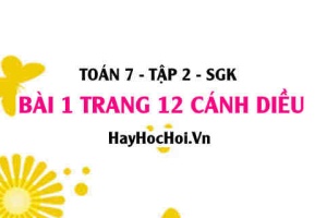 Bài 1 trang 12 Toán 7 Tập 2 Cánh Diều
